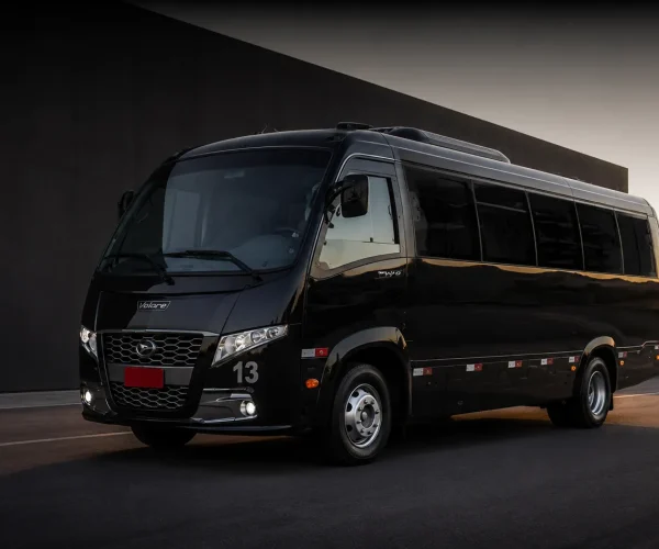 micro onibus bg